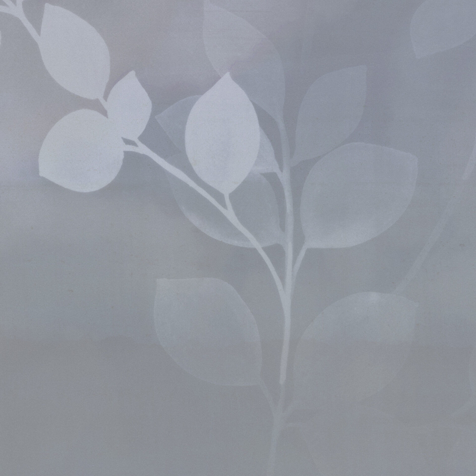 morning mist blue