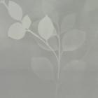 morning mist green
