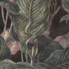 es 016 dry botanic zoom