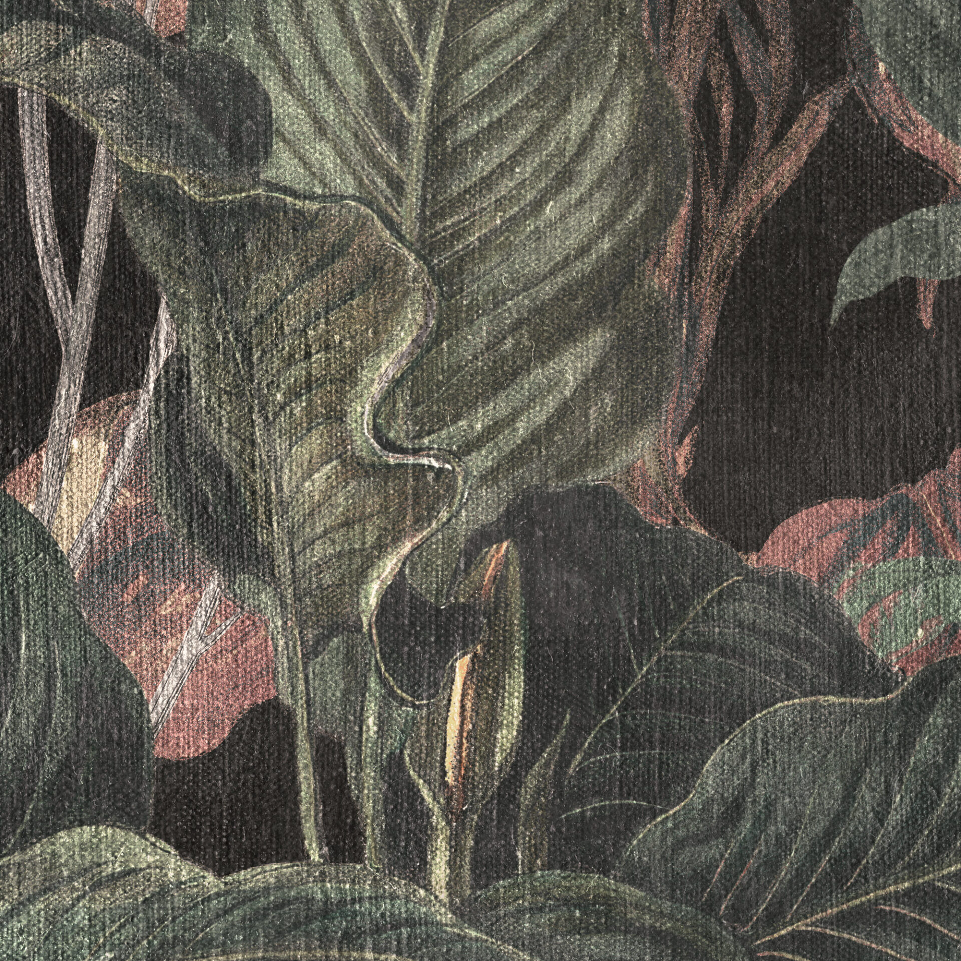 es 016 dry botanic zoom