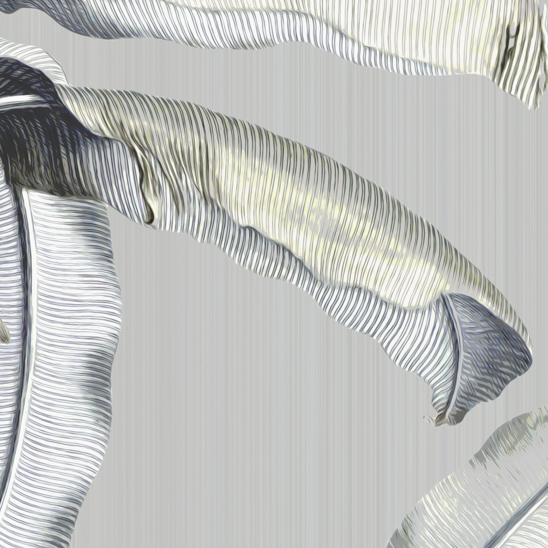 es 022 studio banana grey 6000x3000 zoom