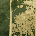 es 023 luce di pino velevet green zoom