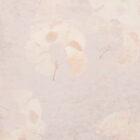 es 026 1 ginkgo rosé 6000x3000 zoom