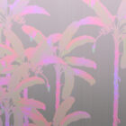 es 027 2 palm serenity oilslick 6000x3000 web