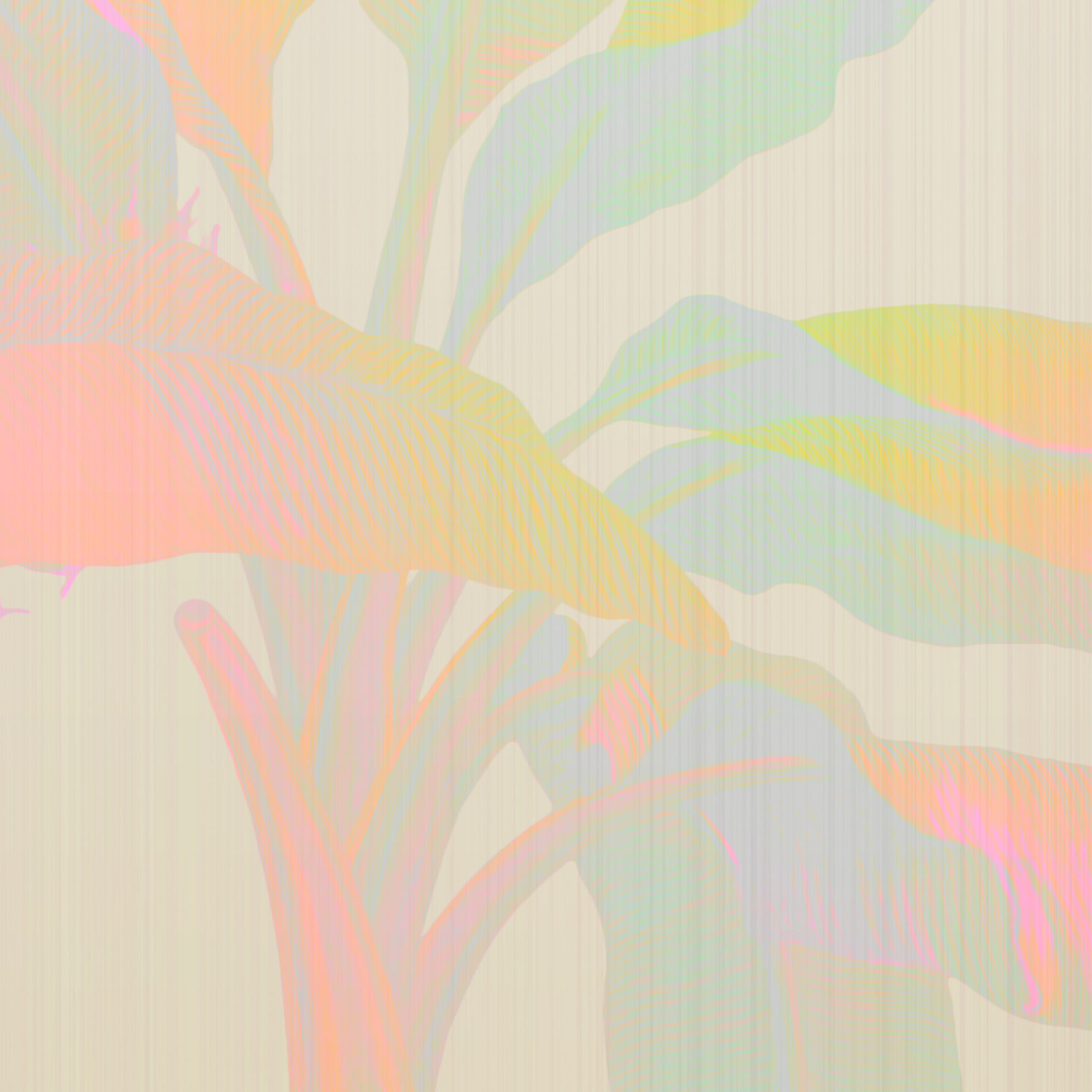 es 027 palm serenity rainbow 6000x3000 zoom