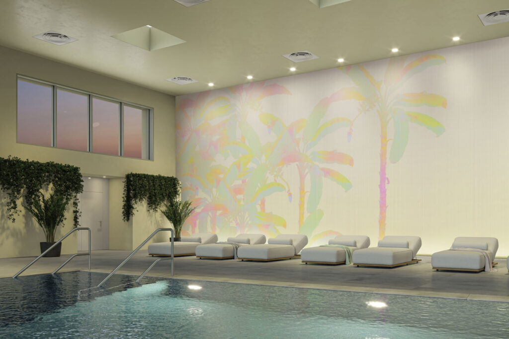 palm serenity rainbow palm serenity rainbow
