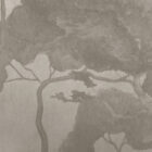 es 028 2 dark pines beige 6000x3000 zoom(2)