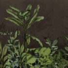 es 018 2 green breath choco 6400x3000 web