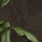 es 018 2 green breath choco 6400x3000 zoom