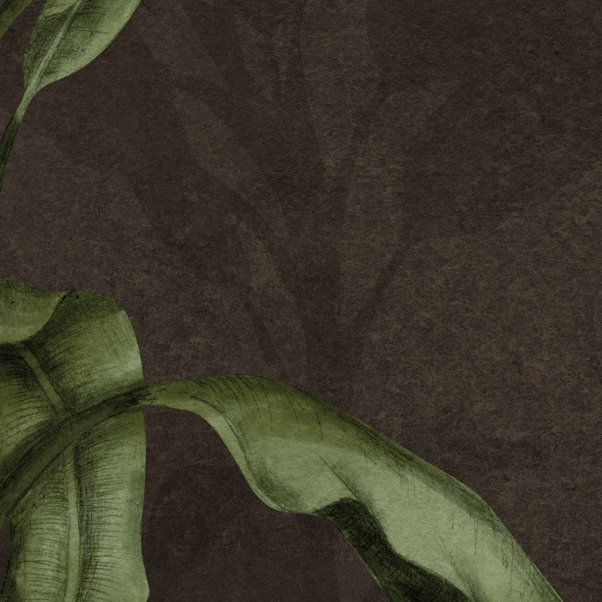 es 018 2 green breath choco 6400x3000 zoom