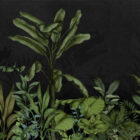 es 018 4 green breath slate 6400x3000 web