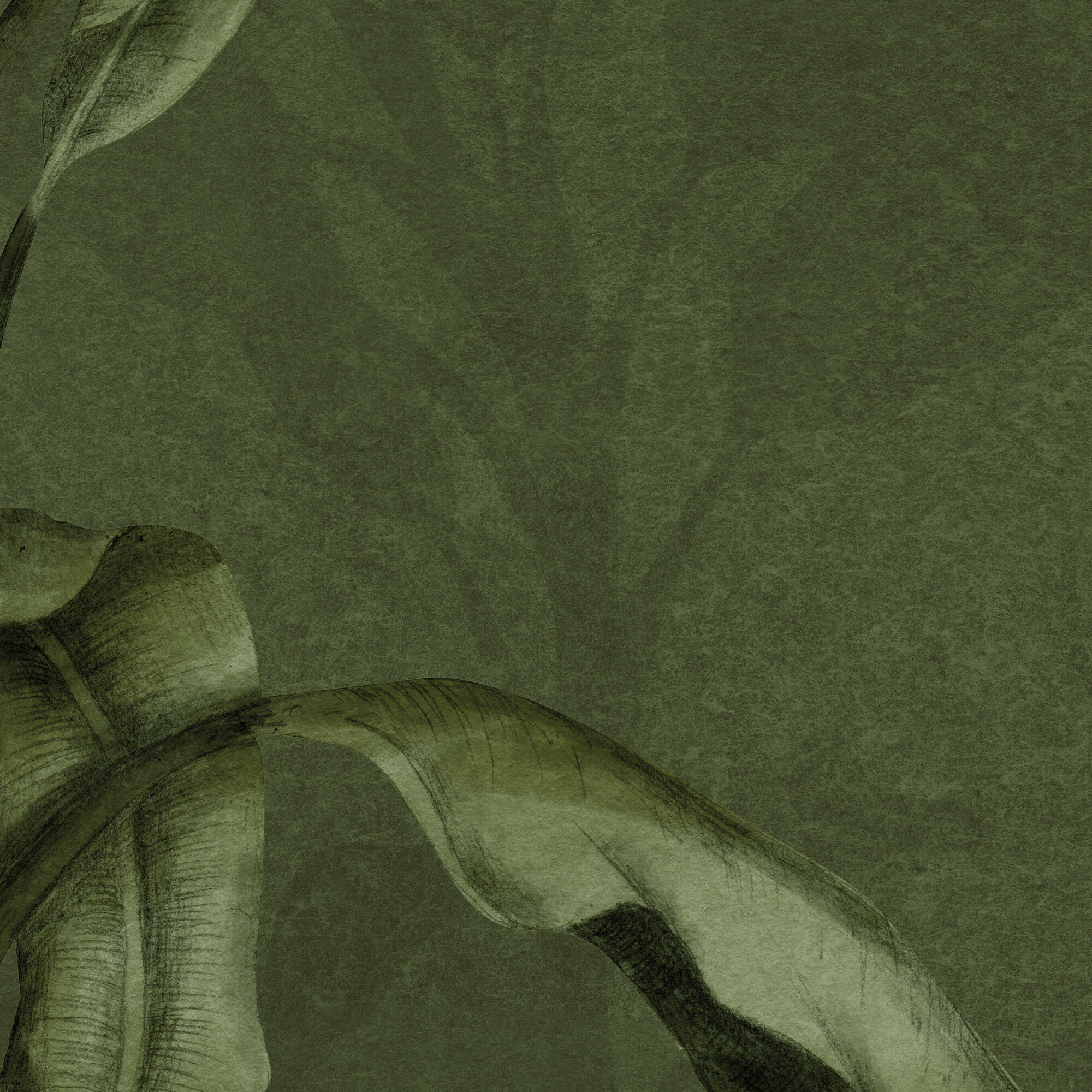 es 018 green breath olive 6400x3000 zoom