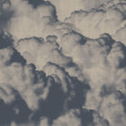 es 029 1 cloud tiles bones web