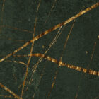 es 030 2 dense dynamic deep green 6000x3000 zoom